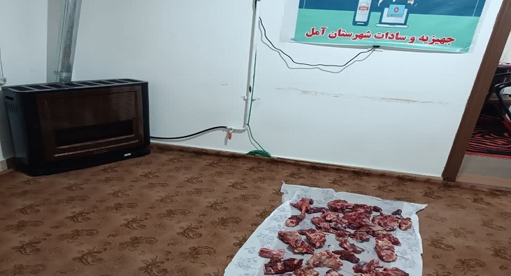 بنیاد بین‌المللی خیریه آبشار عاطفه‌ها، خرداد ماه سال 1405، عید قربان، خدمات شعب سرتاسر کشور