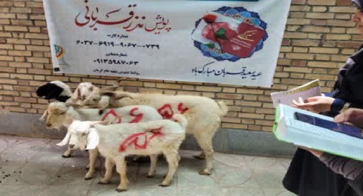بنیاد بین‌المللی خیریه آبشار عاطفه‌ها، خرداد ماه سال 1405، عید قربان، خدمات شعب سرتاسر کشور