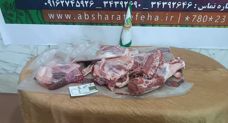 خدمات حمایتی مهرماه سال1404، شعب بنیاد بین‌المللی خیریه آبشار عاطفه‌ها